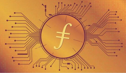 一本万利的Fil币矿机代理 适合哪类投资者的投资管理指南